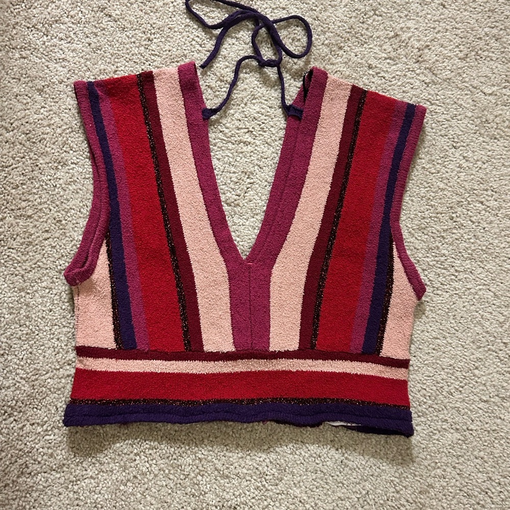 Petro Zillia Multicolor Red Purple Striped Crop Top